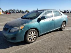 Toyota salvage cars for sale: 2010 Toyota Corolla Base