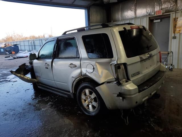 2009 Ford Escape Hybrid