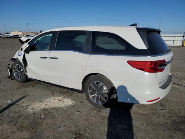 2024 Honda Odyssey EXL