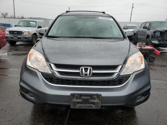 2010 Honda CR-V EXL