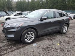 SUV salvage a la venta en subasta: 2020 Ford Escape SE