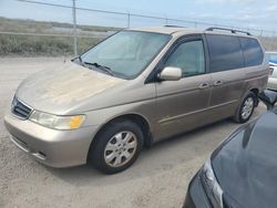 Salvage cars for sale at Riverview, FL auction: 2003 Honda Odyssey EXL