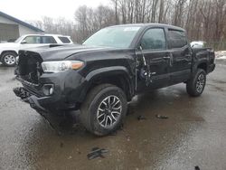 Toyota Tacoma Double cab salvage cars for sale: 2023 Toyota Tacoma Double Cab