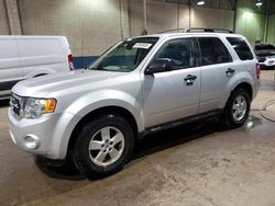 Ford Escape Vehiculos salvage en venta: 2009 Ford Escape XLT