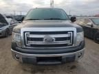 2013 Ford F150