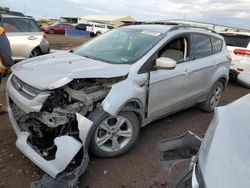 Salvage cars for sale at Brighton, CO auction: 2013 Ford Escape SE