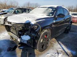 Salvage cars for sale at Marlboro, NY auction: 2023 Alfa Romeo Stelvio Quadrifoglio