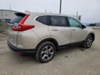 2019 Honda CR-V EXL