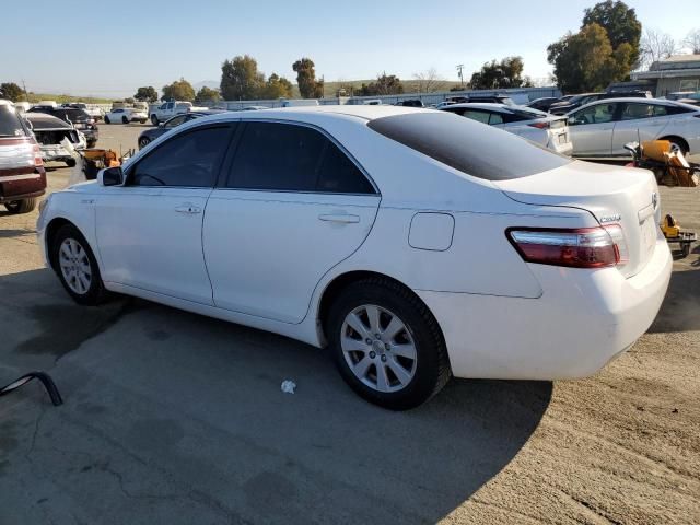 2009 Toyota Camry Hybrid