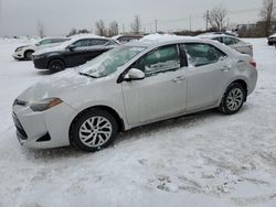 Salvage vehicles for parts for sale at auction: 2019 Toyota Corolla L