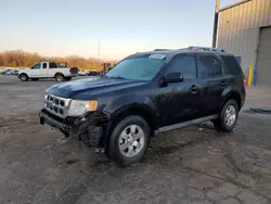 Salvage cars for sale at Memphis, TN auction: 2011 Ford Escape Limited