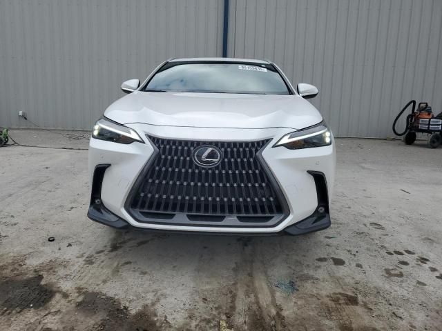 2024 Lexus NX 250 Premium