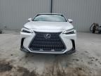 2024 Lexus NX 250 Premium