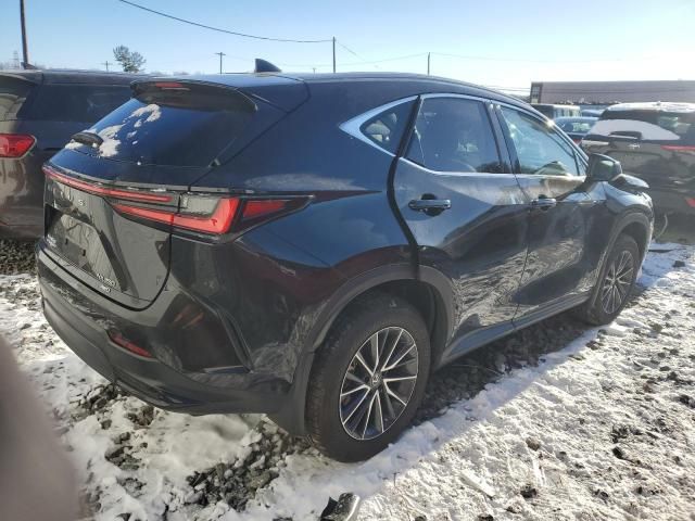 2022 Lexus NX 350