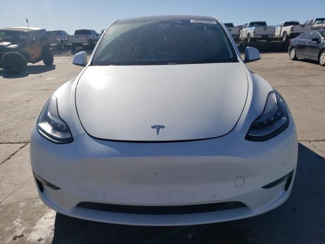 2020 Tesla Model Y