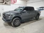 2019 Ford F150 Raptor