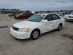 Salvage cars for sale at Harleyville, SC auction: 2001 Toyota Avalon XL