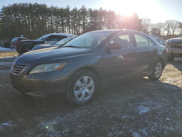 2009 Toyota Camry Hybrid