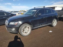 Salvage cars for sale at Brighton, CO auction: 2016 Audi Q5 Premium Plus