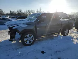 Dodge Vehiculos salvage en venta: 2009 Dodge RAM 1500