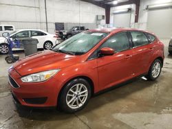 Salvage cars for sale at Avon, MN auction: 2018 Ford Focus SE