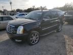 2012 Cadillac Escalade Luxury