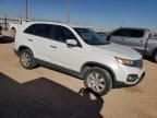 2011 KIA Sorento Base