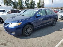 Vehiculos salvage en venta de Copart Rancho Cucamonga, CA: 2010 Toyota Camry Base