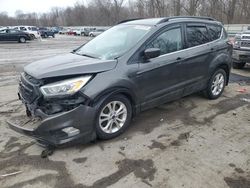 Salvage cars for sale at Ellwood City, PA auction: 2017 Ford Escape SE