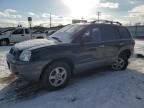 2004 Hyundai Santa FE GLS