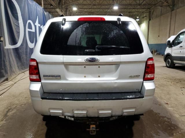 2009 Ford Escape XLT