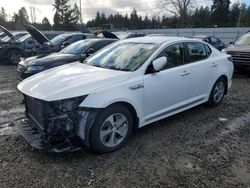 Hybrid Vehicles for sale at auction: 2015 KIA Optima Hybrid