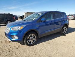 Salvage SUVs for sale at auction: 2019 Ford Escape SE