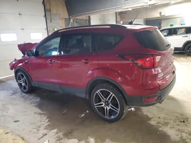 2019 Ford Escape SEL