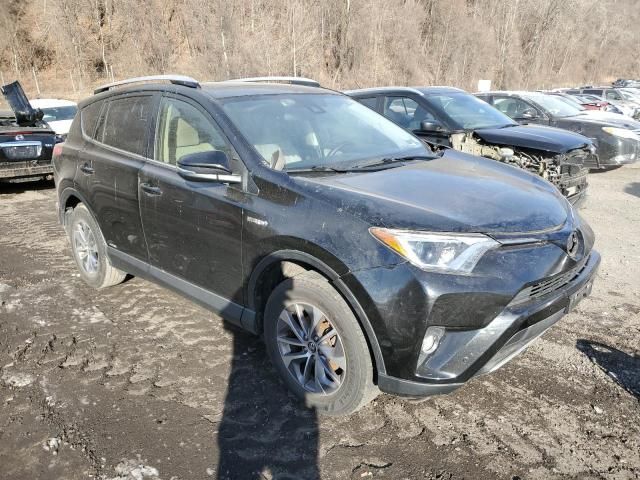 2016 Toyota Rav4 HV XLE