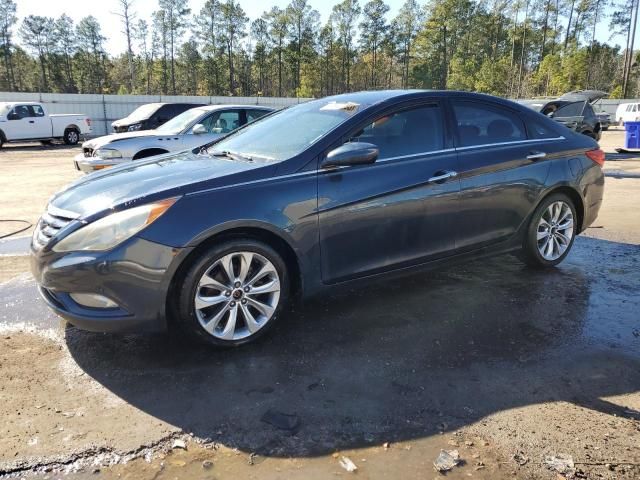 2011 Hyundai Sonata SE