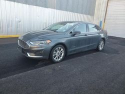 Ford Fusion salvage cars for sale: 2019 Ford Fusion SEL