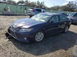 Lexus salvage cars for sale: 2013 Lexus ES 350