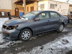 Toyota salvage cars for sale: 2011 Toyota Corolla Base