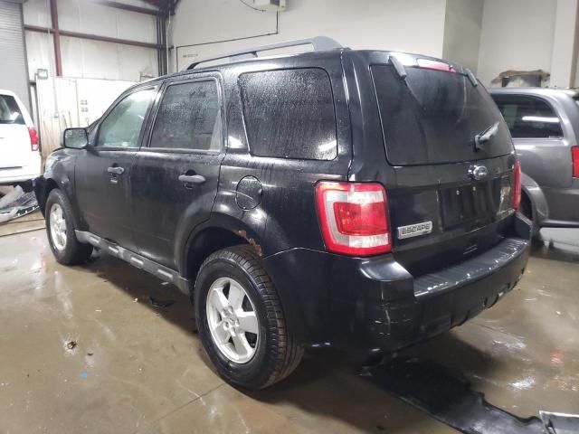 2010 Ford Escape XLT