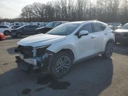 Salvage cars for sale at Glassboro, NJ auction: 2023 Lexus NX 450H