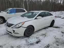 Salvage cars for sale at Cookstown, ON auction: 2013 Hyundai Sonata SE