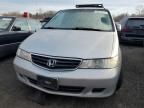 2004 Honda Odyssey EXL