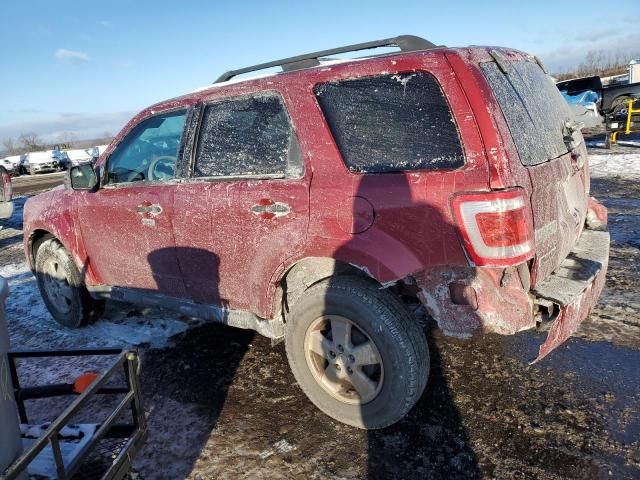 2012 Ford Escape XLT