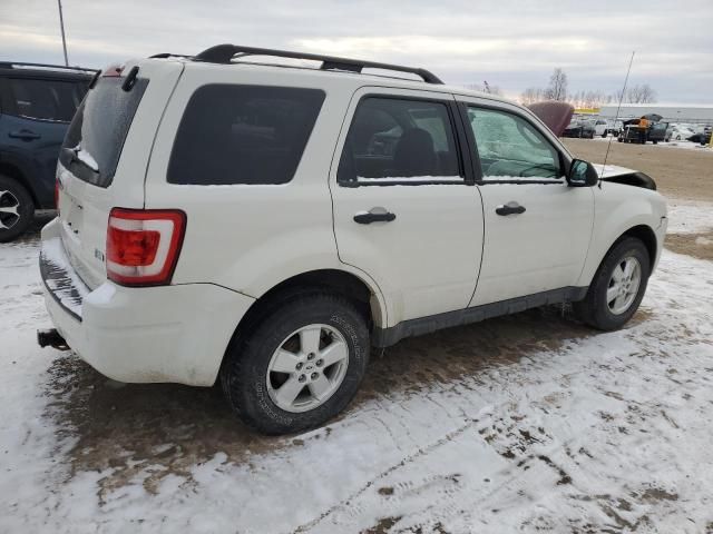 2010 Ford Escape XLT