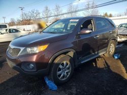 Salvage cars for sale at New Britain, CT auction: 2012 KIA Sorento Base