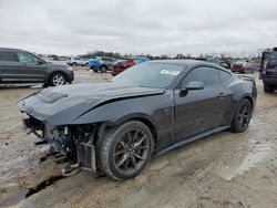 Salvage cars for sale from Copart Houston, TX: 2024 Ford Mustang Dark Horse