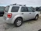 2009 Ford Escape XLT