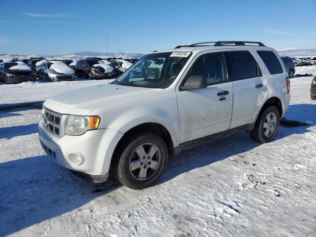 2010 Ford Escape XLT