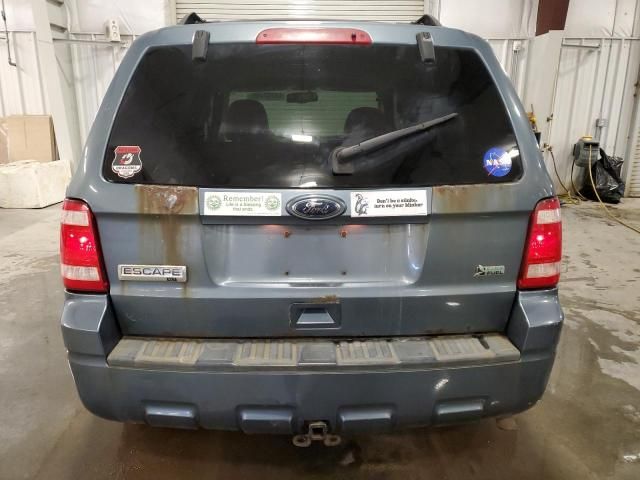 2010 Ford Escape XLT